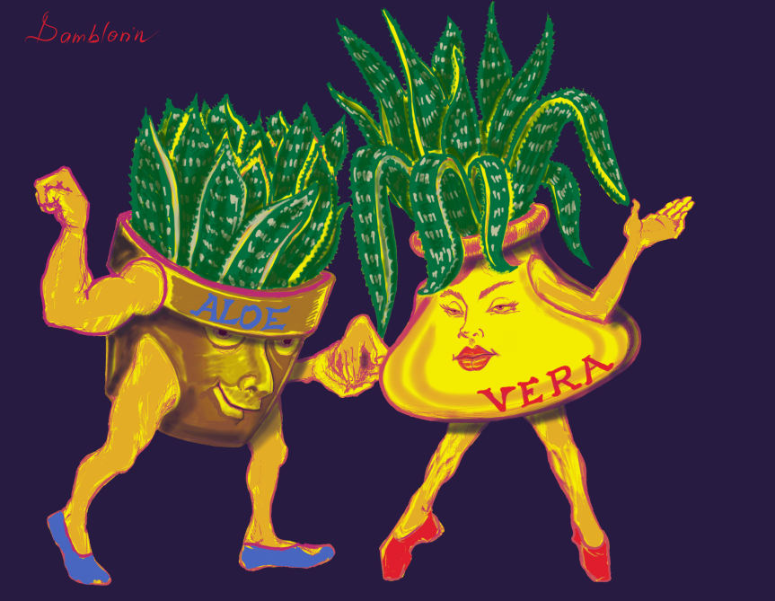 Aloe și Vera (ilustrația)