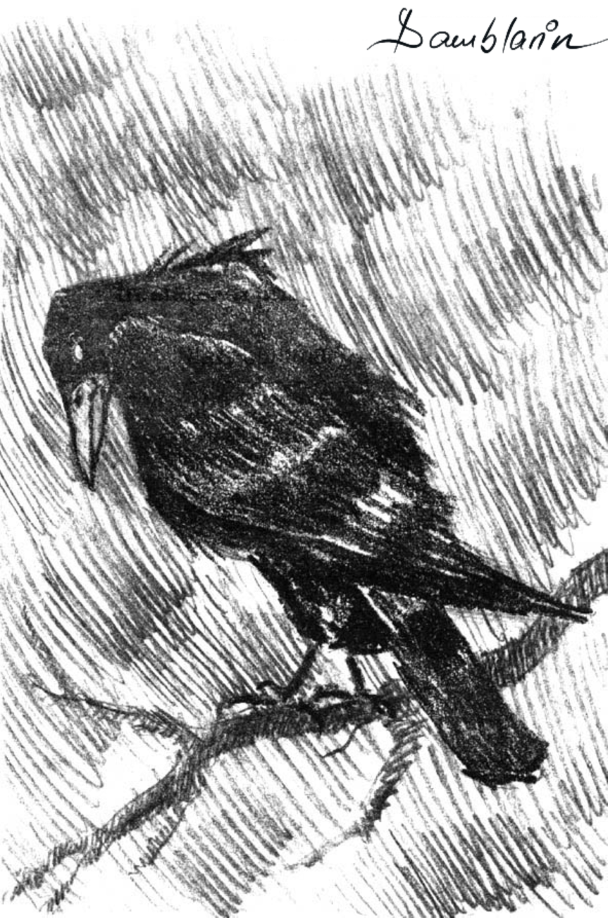 Balada corbului (ilustrația)